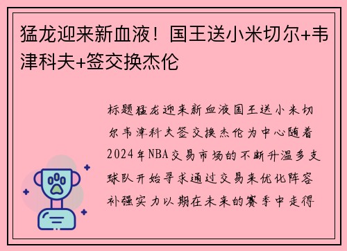 猛龙迎来新血液！国王送小米切尔+韦津科夫+签交换杰伦