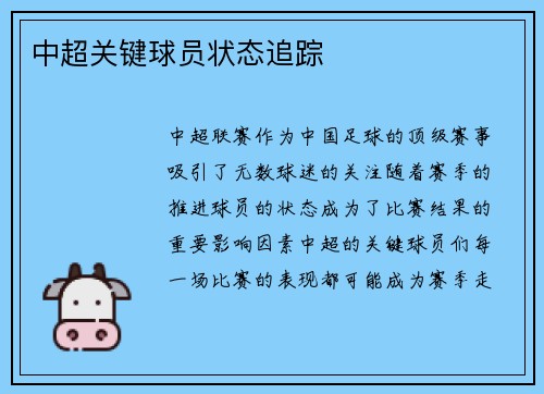 中超关键球员状态追踪