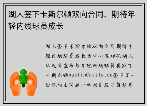 湖人签下卡斯尔顿双向合同，期待年轻内线球员成长