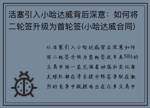 活塞引入小哈达威背后深意：如何将二轮签升级为首轮签(小哈达威合同)