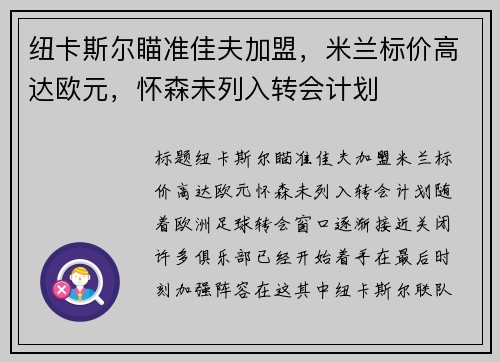 纽卡斯尔瞄准佳夫加盟，米兰标价高达欧元，怀森未列入转会计划