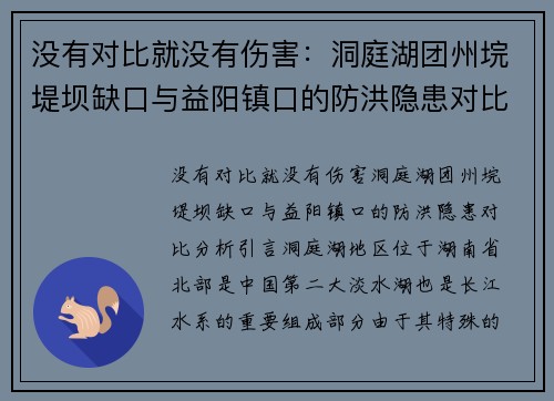 没有对比就没有伤害：洞庭湖团州垸堤坝缺口与益阳镇口的防洪隐患对比分析